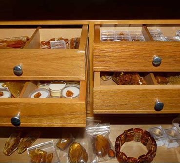 Nursing2001 cover illustration: A Look InsideA view of the head through layers of bone, arteries, veins and to the brain itself.