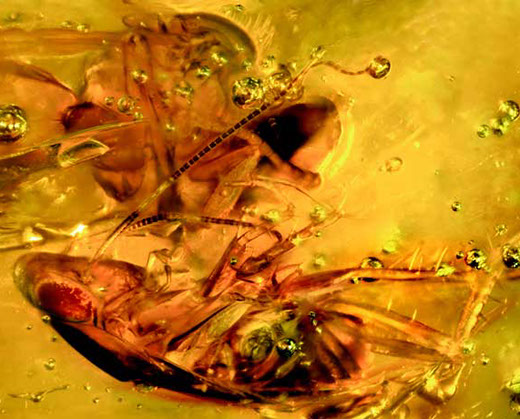 Nursing2001 cover illustration: A Look InsideA view of the head through layers of bone, arteries, veins and to the brain itself.