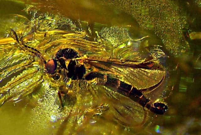 Nursing2001 cover illustration: A Look InsideA view of the head through layers of bone, arteries, veins and to the brain itself.