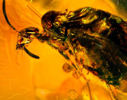 Nursing2001 cover illustration: A Look InsideA view of the head through layers of bone, arteries, veins and to the brain itself.