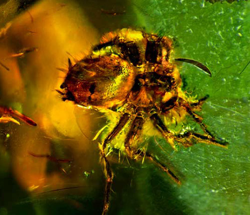 Nursing2001 cover illustration: A Look InsideA view of the head through layers of bone, arteries, veins and to the brain itself.